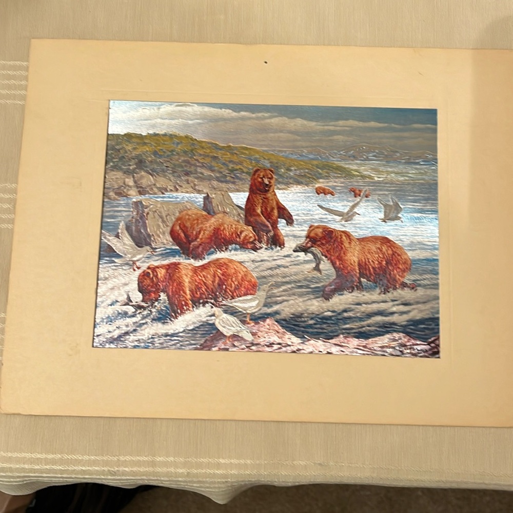 Dufex Bear Print
